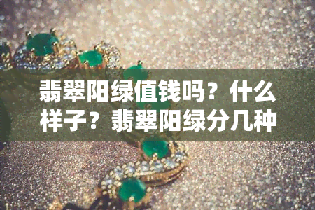 翡翠阳绿值钱吗？什么样子？翡翠阳绿分几种色？好不好？