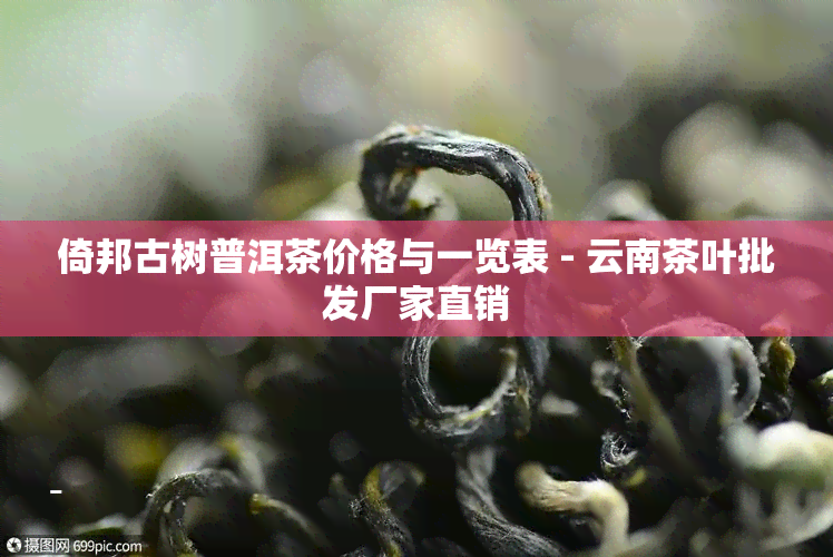 倚邦古树普洱茶价格与一览表 - 云南茶叶批发厂家直销