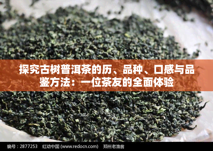 探究古树普洱茶的历、品种、口感与品鉴方法：一位茶友的全面体验