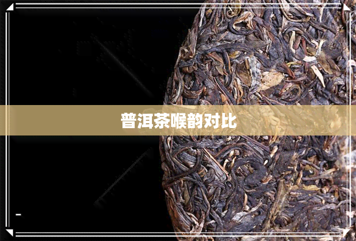 普洱茶喉韵对比