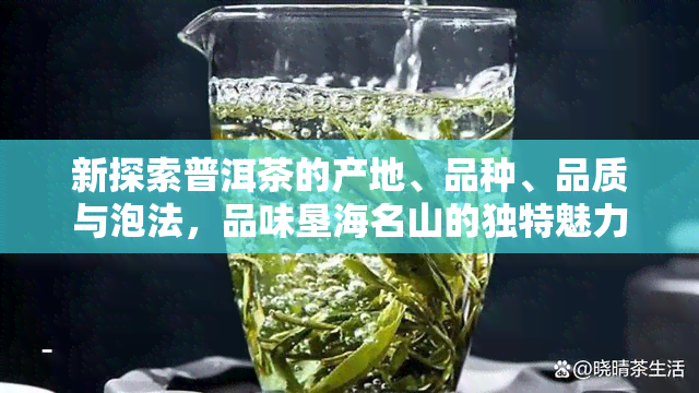 新探索普洱茶的产地、品种、品质与泡法，品味垦海名山的独特魅力