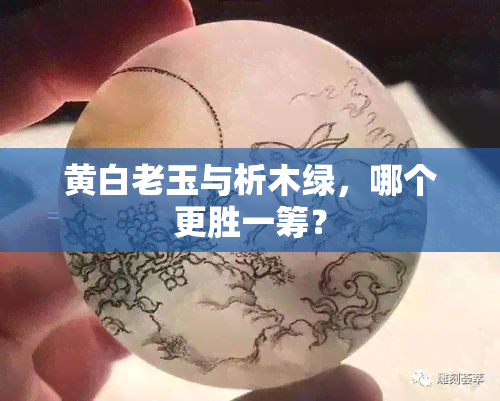 黄白老玉与析木绿，哪个更胜一筹？