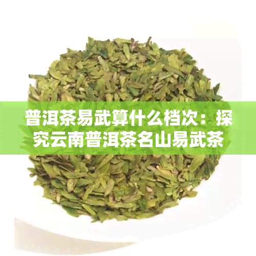 普洱茶易武算什么档次：探究云南普洱茶名山易武茶的品质与地位