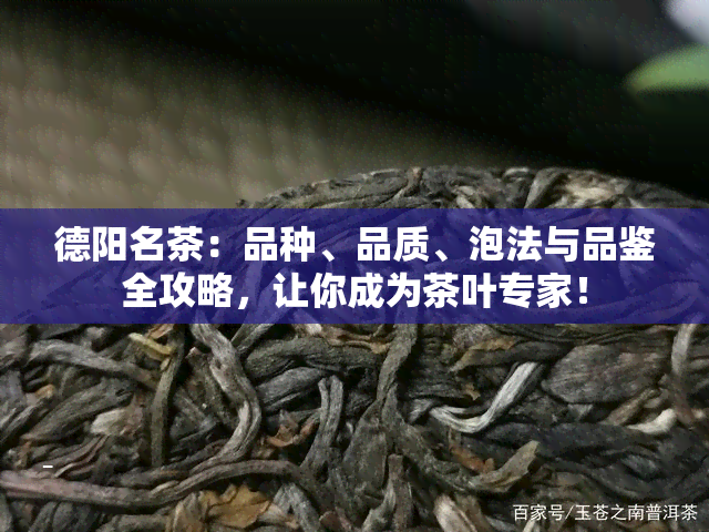 德阳名茶：品种、品质、泡法与品鉴全攻略，让你成为茶叶专家！