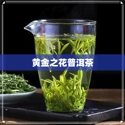 黄金之花普洱茶