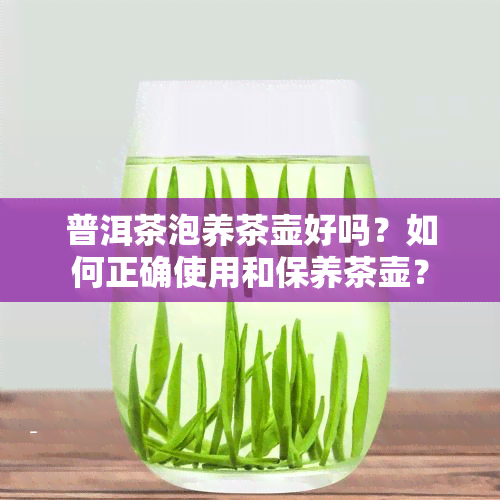 普洱茶泡养茶壶好吗？如何正确使用和保养茶壶？