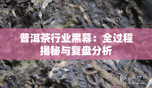 普洱茶行业黑幕：全过程揭秘与复盘分析