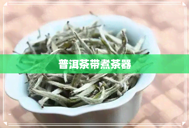 普洱茶带煮茶器