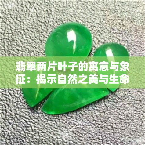 翡翠两片叶子的寓意与象征：揭示自然之美与生命力