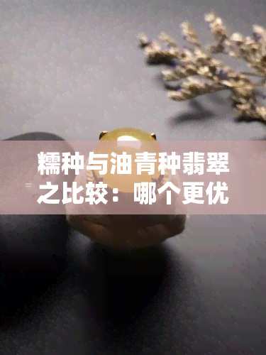 糯种与油青种翡翠之比较：哪个更优质？