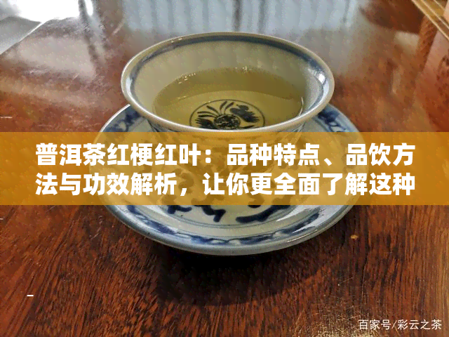 普洱茶红梗红叶：品种特点、品饮方法与功效解析，让你更全面了解这种茶叶