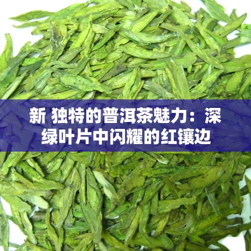 新 独特的普洱茶魅力：深绿叶片中闪耀的红镶边