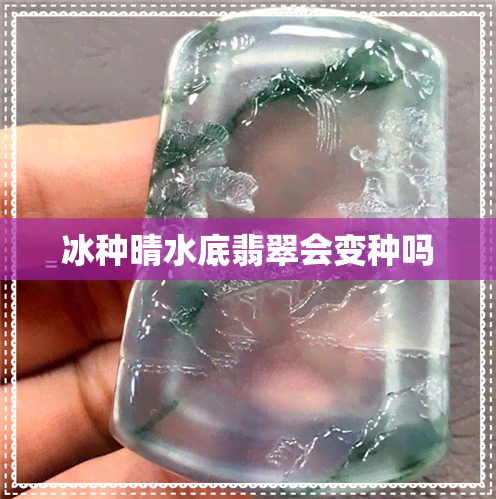 冰种晴水底翡翠会变种吗