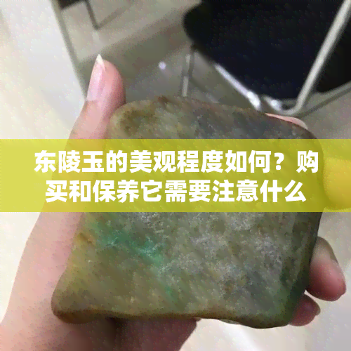 东陵玉的美观程度如何？购买和保养它需要注意什么？