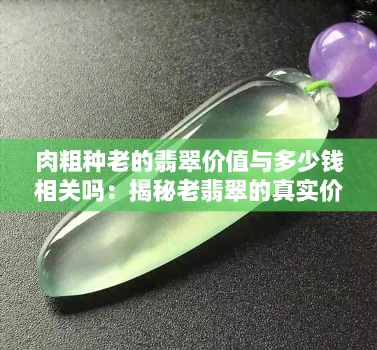 肉粗种老的翡翠价值与多少钱相关吗：揭秘老翡翠的真实价值