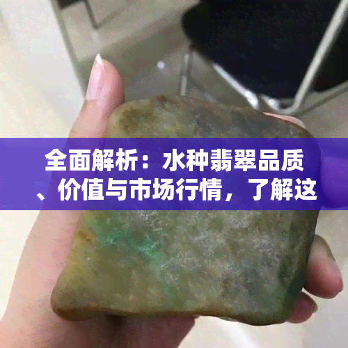 全面解析：水种翡翠品质、价值与市场行情，了解这些才能做出明智投资决策