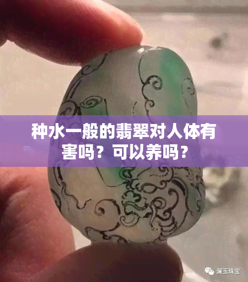 种水一般的翡翠对人体有害吗？可以养吗？