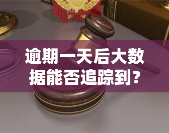 逾期一天后大数据能否追踪到？如何确保及时还款避免逾期记录？