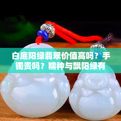 白底阳绿翡翠价值高吗？手镯贵吗？糯种与飘阳绿有何区别？