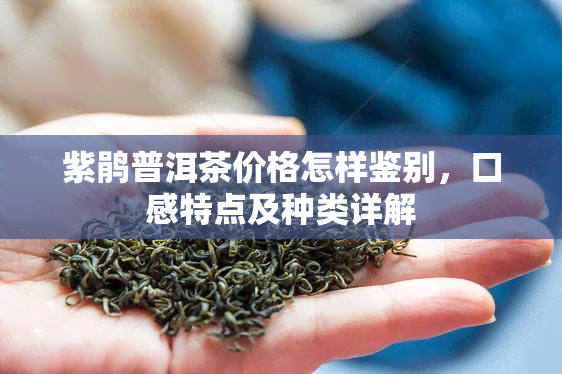 紫鹃普洱茶价格怎样鉴别，口感特点及种类详解