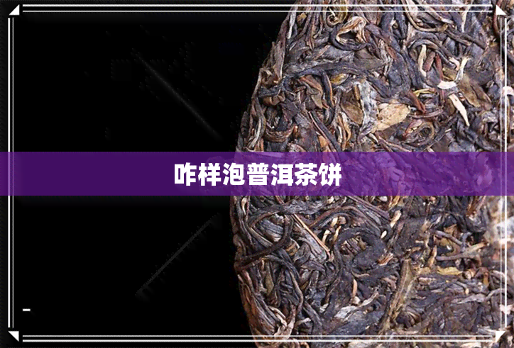 咋样泡普洱茶饼