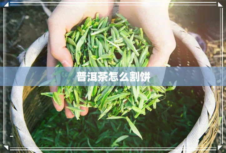 普洱茶怎么割饼