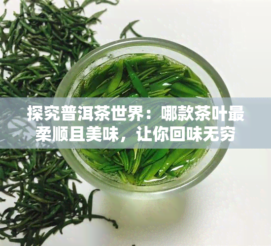 探究普洱茶世界：哪款茶叶最柔顺且美味，让你回味无穷