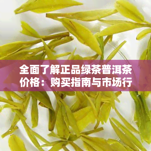 全面了解正品绿茶普洱茶价格：购买指南与市场行情分析