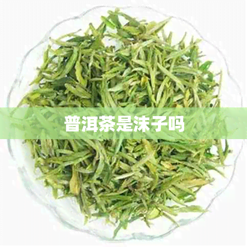 普洱茶是沫子吗