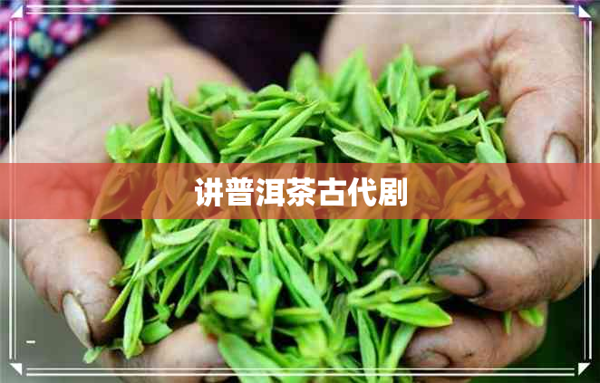 讲普洱茶古代剧