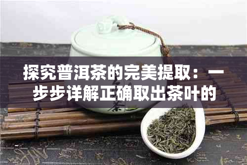 探究普洱茶的完美提取：一步步详解正确取出茶叶的方法