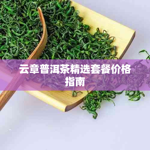 云章普洱茶精选套餐价格指南