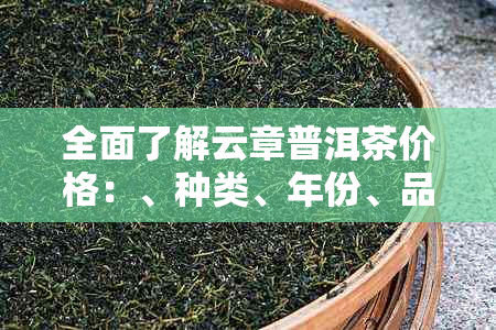 全面了解云章普洱茶价格：、种类、年份、品质等综合查询指南