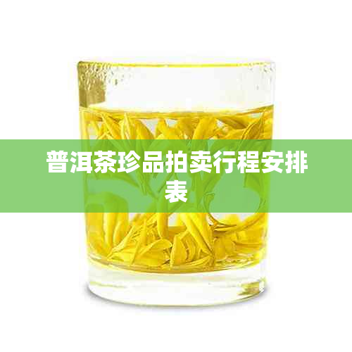 普洱茶珍品拍卖行程安排表