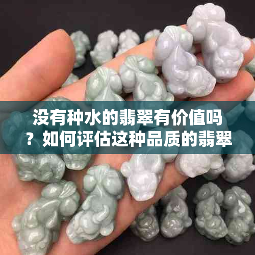 没有种水的翡翠有价值吗？如何评估这种品质的翡翠？