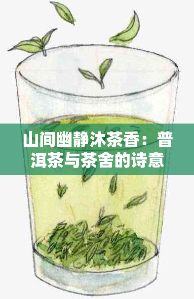 山间幽静沐茶香：普洱茶与茶舍的诗意融合