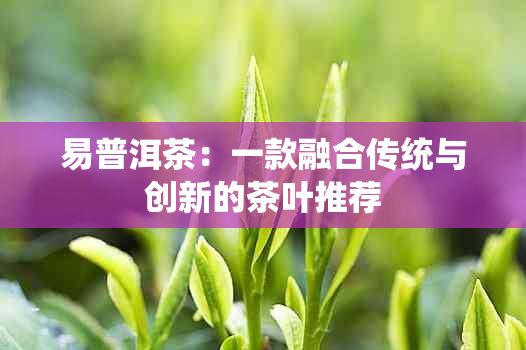 易普洱茶：一款融合传统与创新的茶叶推荐