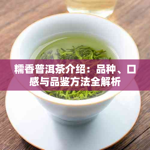 糯香普洱茶介绍：品种、口感与品鉴方法全解析