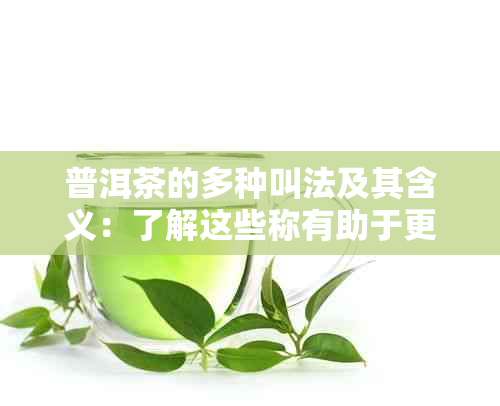 普洱茶的多种叫法及其含义：了解这些称有助于更好地选购和品鉴普洱茶