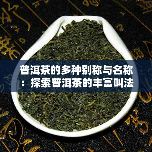 普洱茶的多种别称与名称：探索普洱茶的丰富叫法