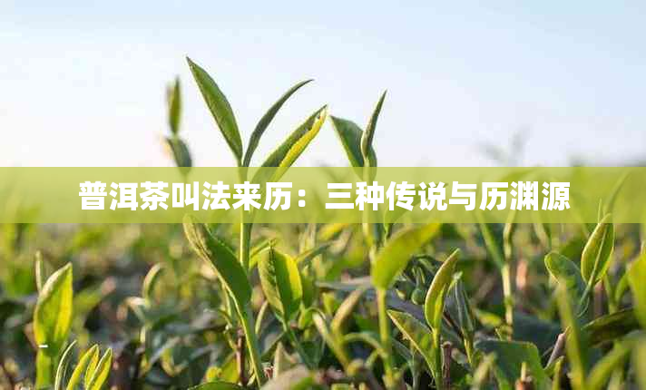 普洱茶叫法来历：三种传说与历渊源