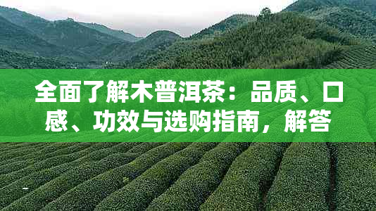 全面了解木普洱茶：品质、口感、功效与选购指南，解答您可能存在的疑问