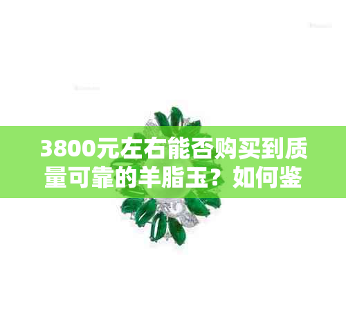 3800元左右能否购买到质量可靠的羊脂玉？如何鉴别真伪与购买建议