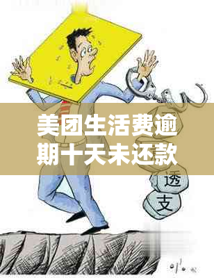 美团生活费逾期十天未还款可能导致的后果与解决方法