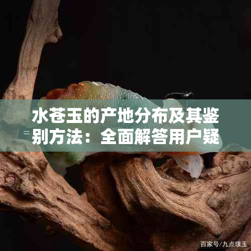 水苍玉的产地分布及其鉴别方法：全面解答用户疑问