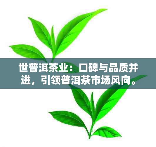 世普洱茶业：口碑与品质并进，引领普洱茶市场风向。