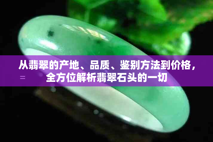 从翡翠的产地、品质、鉴别方法到价格，全方位解析翡翠石头的一切