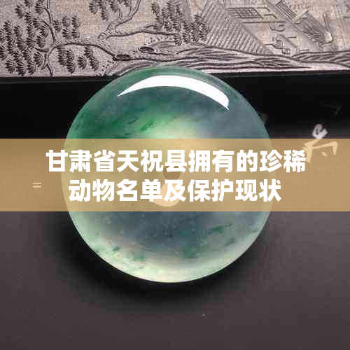 甘肃省天祝县拥有的珍稀动物名单及保护现状