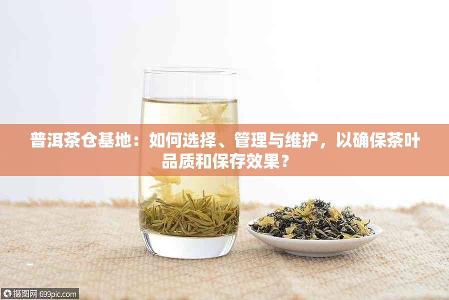 普洱茶仓基地：如何选择、管理与维护，以确保茶叶品质和保存效果？