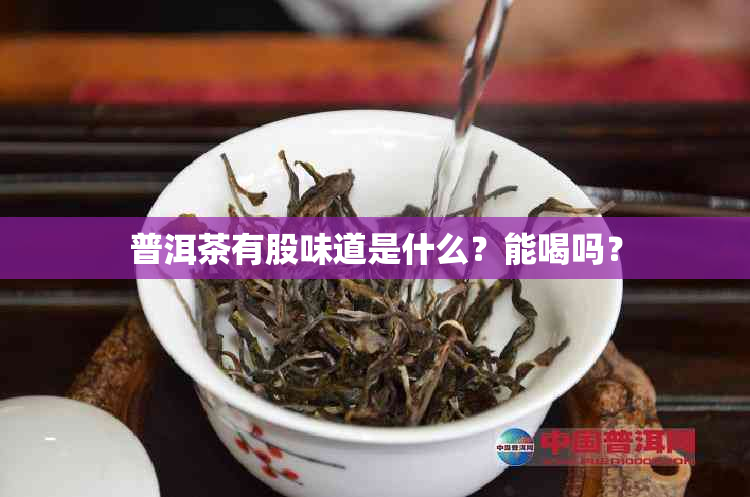 普洱茶有股味道是什么？能喝吗？